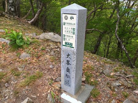 ここで行者還岳の直下に到着。私は以前登っているのでピークハントはパスしました