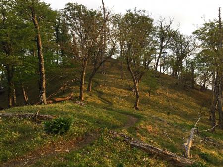 西日の差す稜線道。さあ、このピークから90番まで尾根へ下っていきます