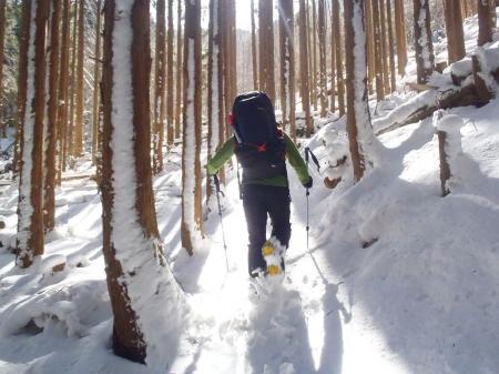 トレースもなし