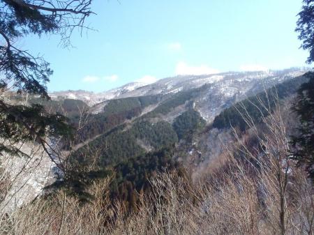 古田の森のピークが見えてきた
