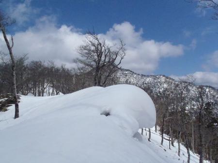 鯨のような雪庇