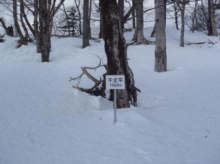 千丈平(1660m)に到着