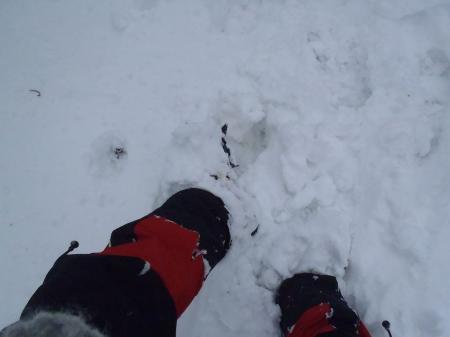 下山時もズボズボ