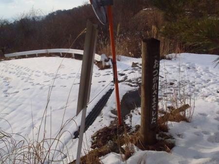 同じルートで林道へ。本当におつかれさまだったが、ここからまた1時間ほど車まで林道を歩くことになる