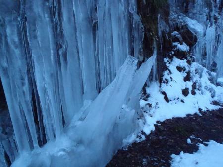 つらら群のところでめずらしいつらら発見