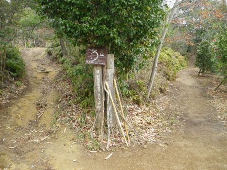 最初の分岐があるけどみんなリフレッシュコースに行ったので右に登っていくことにした