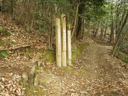 ここも分岐だけどパノラマコースだと縦走路に方角なはずなので、高山のピークハントは右へ行く