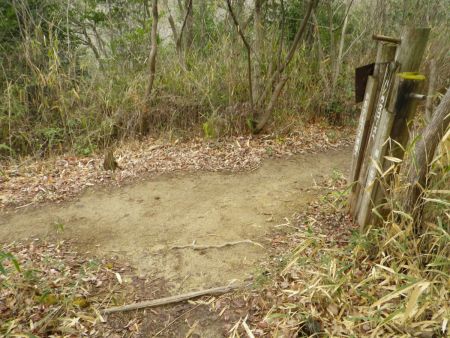 ここで縦走路に合流して右の前山方面へ向かう。地図を見るとここからアップダウンが多くなるはず