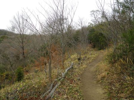 まずはなだらかな登山道が続く。左に見えてる電波塔のところまで行くはずだが、ここから見ると結構遠いね