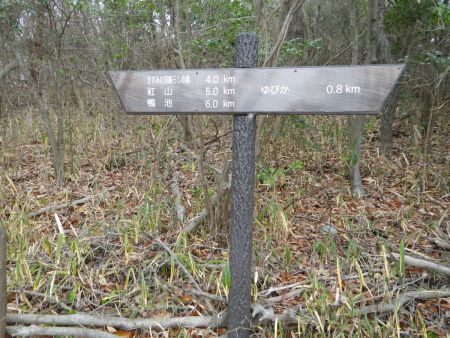 まだ序盤だけど紅山まで5kmもある。これからアップダウンが続くのでどのくらい時間がかかるんだろうか！？