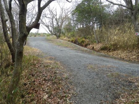 登っていくと舗装道のようなところに出た。方角的にここは左に登っていく