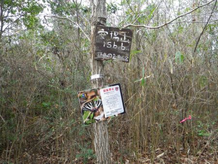 三角点のある安場山に到着。標高156mだけど下って登らされた。三角点がどこかにあるはずなんだけど探してみる