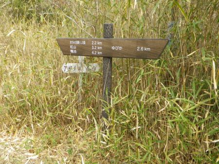 ここでまた道標があった。紅山まで3.2kmと半分もきていない。まだ時間的に余裕はあるのでまったり行くことにした