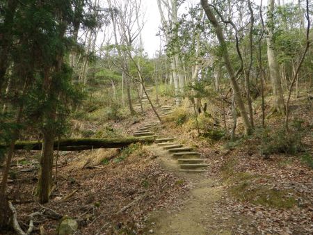 ここにきてこの階段の登りか！？これ系の階段はペースが乱されて息切れするのよね。まあゆっくり登ることにした