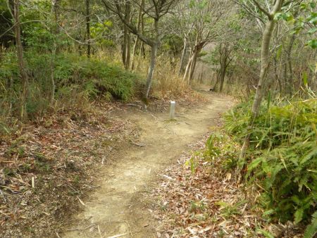 階段を登ったらすぐに下りになっていた。だんだんハードになってきたね。下りだからといってペースを乱したら足に負担がかかるのでペース配分乱さないようにゆっくり下ることにした