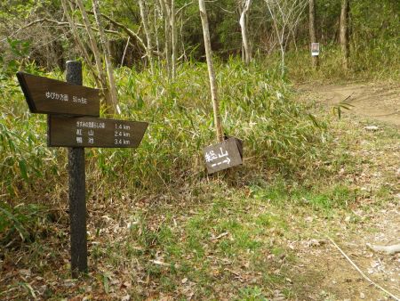 ここから再び登山道へ。道標には紅山まで2.4kmと半分の距離は過ぎたみたい