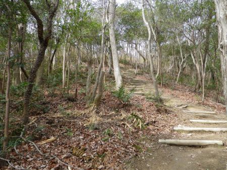 また階段の登りになってるけど、ここは距離も短いのでペースを乱さないで一気に登ることにした