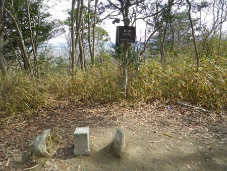 登りきったピークで総山に到着。ここにも三角点がある。標高が168mまであがった。地図を見るとここから次のピークを登ればアップダウンは一旦マシになるはず