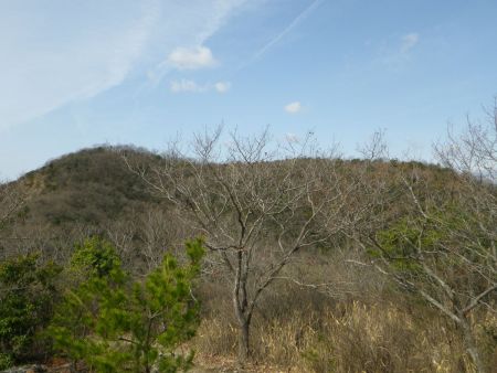 次に登るピークと右側に展望デッキが見える。ほとんど休憩なしだったので展望デッキまで行って大休憩することにした。アンテナ山から次のピークまでの登りはそこまで苦じゃなさそう