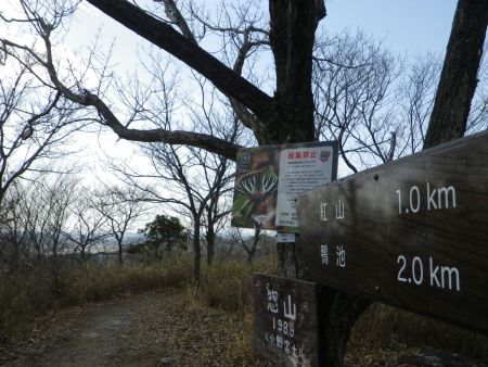 さて、展望デッキで休憩して惣山に戻って最後の紅山へ向かう。あと1kmということだけど、ここからかなり下らされるはず