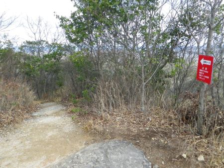 さて、休憩したのでさっさと北側ルートで下山することにした