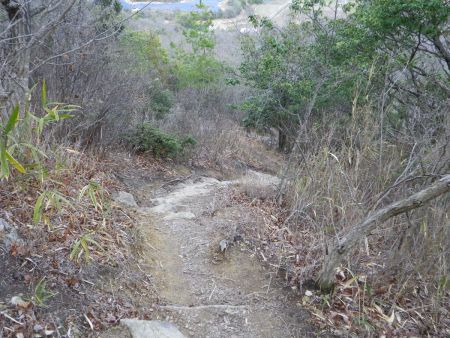 下山路は岩場があるものの普通の登山道を下る感じだった