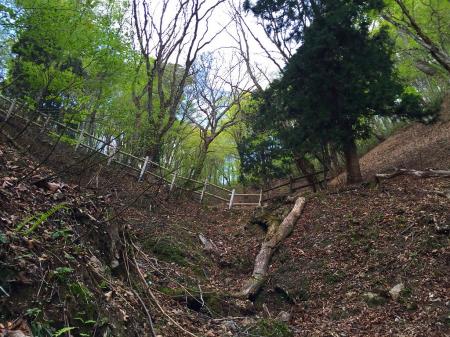 尾根がすぐ見えている