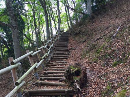 最初の階段だけちょい息切れ気味