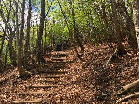 ここを登ると稜線を歩く