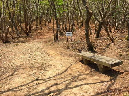 あと500mと半分まできたけど、階段で息切れする人のためにベンチ！？