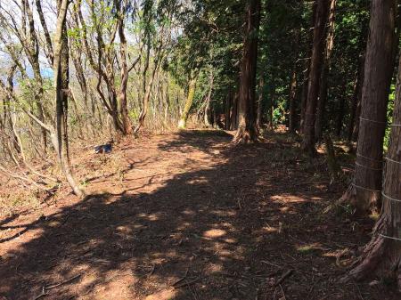 815mのピークから少し下るポイントがあるのでここまできたらあと少し