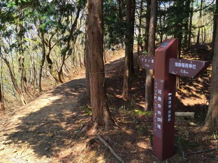 少し下りきったらあと0.3kmの道標があるがここからの山頂までの登りはなだらかだった