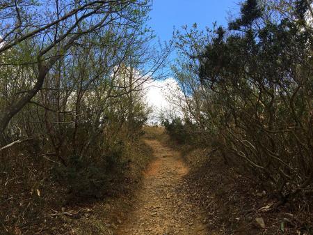 山頂直下。なにやら期待できそうな雰囲気