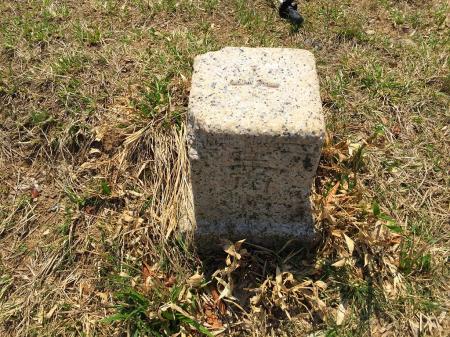 大江山頂には三角点もあり