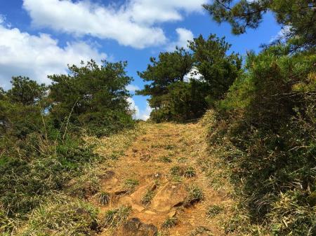 鳩ヶ峰への登りはちょいガレたところを登るが、標高差がないので楽生だった