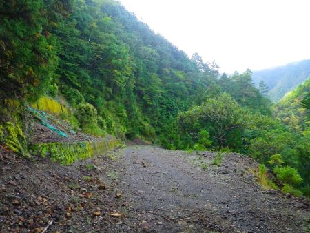 それにしても長い林道で大塔山登山口までなかなかつかない