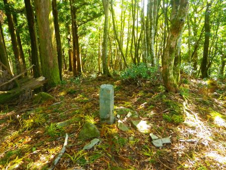 ここが一ノ森と呼ばれるP1058のピーク。ここから標高100mほど下らされる