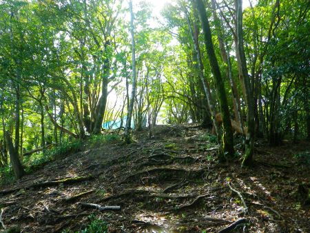 青い網が見えてピークが見えてきた