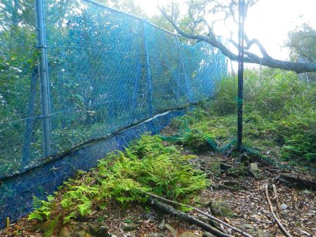 大塔山の山頂へ行くにはこの柵を開けて入らないといけない。これをあけるのがまた面倒だった