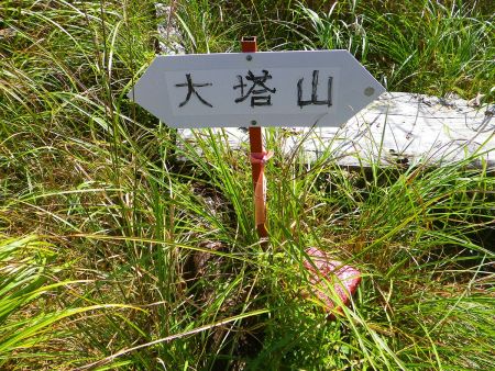 大塔山の山頂(1121.9m)に到着。周囲はススキだらけでベンチはあるけどほとんど役立ってない