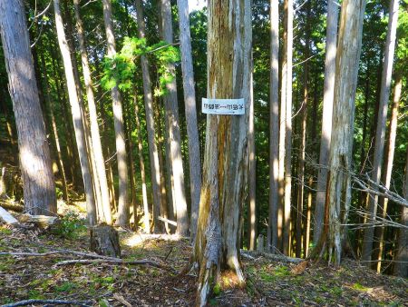 ここで大塔山と法師山の看板があったけど、どうして文字が反対に向いてるんだろうか！？方向は合ってるんだけどね