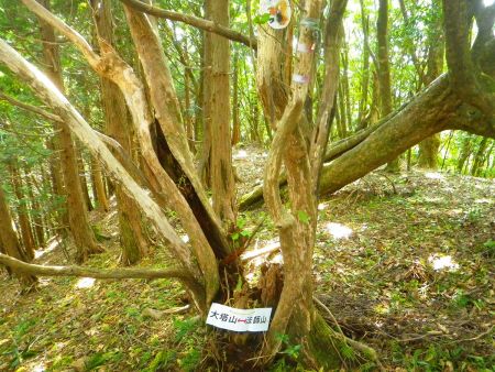 P994のピークに看板があったけど上にあるアニメキャラは何だろう！？一瞬、朝比奈ミクルだと思ったけど違うようだ