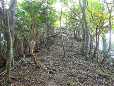 ピークが見えた！と思ったらまだ山頂ではなかった