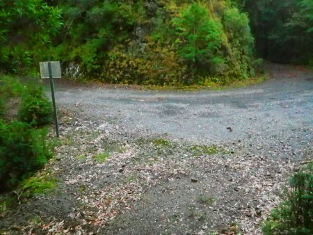 法師山登山口の林道に出てきた。明るいうちに登山口まで戻れてよかった