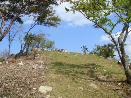すぐ山頂が見える。いい感じ