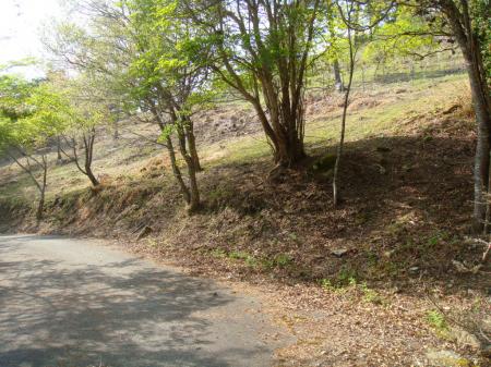 この付近より道路から向かいの柵づたいに歩く