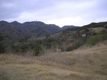 あの鉄塔の立ってるところは六甲山頂かな！？
