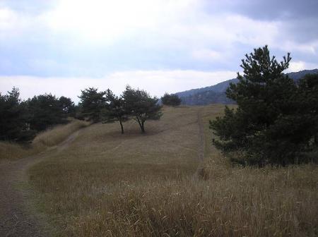 この辺で昼食をとることにした
