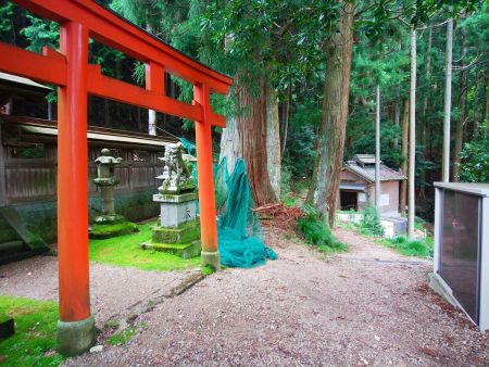 右手から登山道へ入る