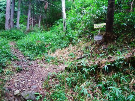 ここはどっちでも行けるけど、せっかくなので音羽山万葉展望台経由で登ることにした